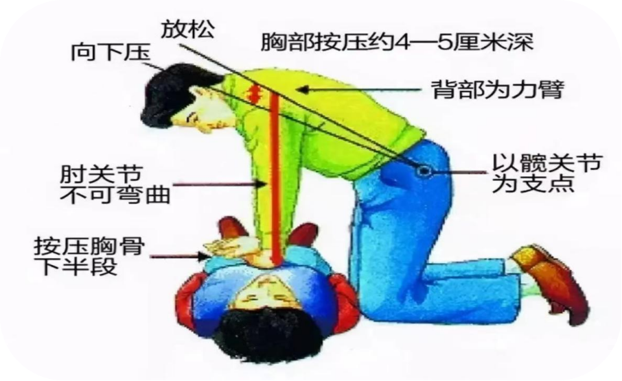 3fdaf9fdf496a7933362ae7d994e845c.png 3fdaf9fdf496a7933362ae7d994e845c.png